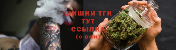 шишки Нея