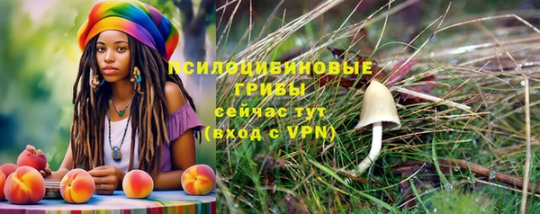 Альфа ПВП Навашино